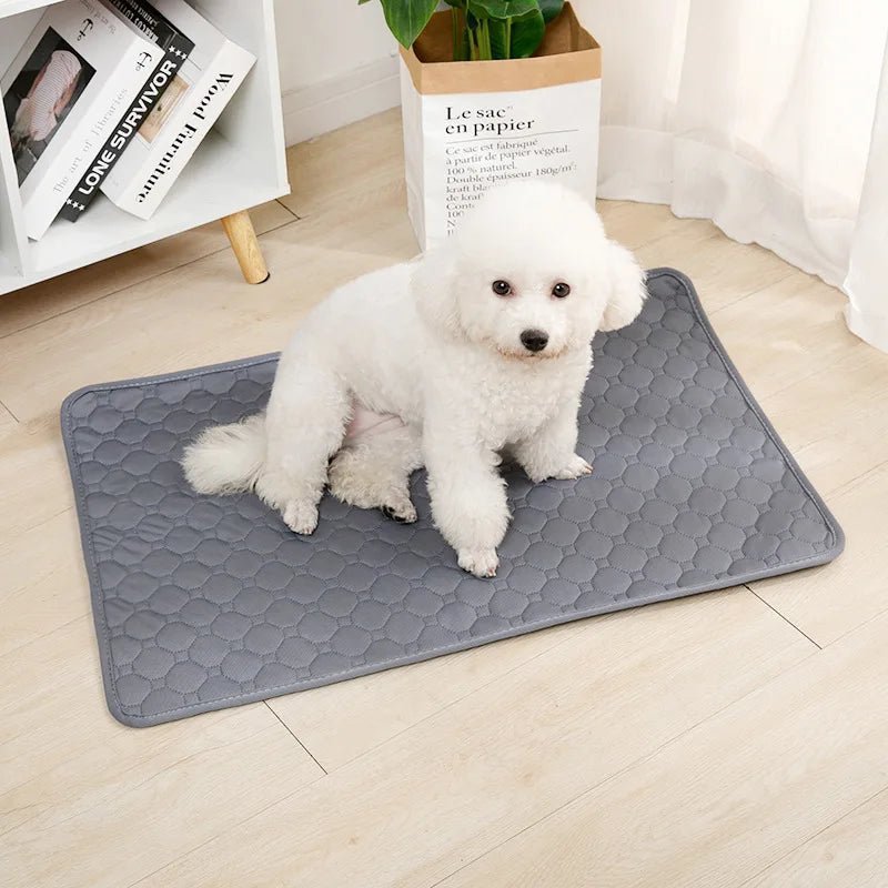 Reusable Dog Pee Pad Blanket Absorbent Diaper Washable Puppy Training Pad - Loyace